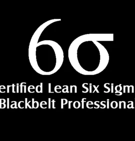 Certified Lean Six Sigma Black Belt Professional